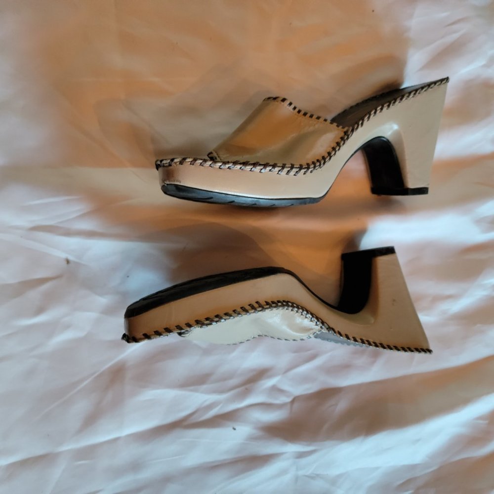 Paolo slides